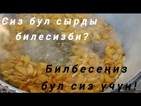 Видео: Өзгөчө компот Бийи алмадан компот, варенье жасайбыз. 