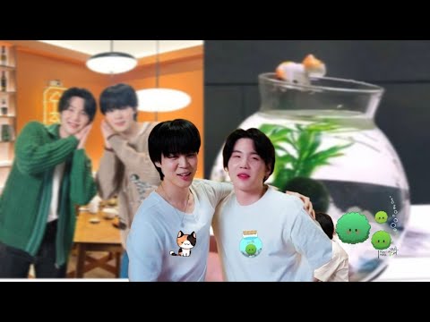 Видео: Почему Чимин одержим Маримо? | Связь Calico Cat и Marimo Suga ОБЪЯСНЕНА!