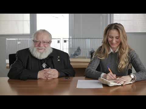 Видео: николаевские голуби Судейства на выставках \обмен опытом\