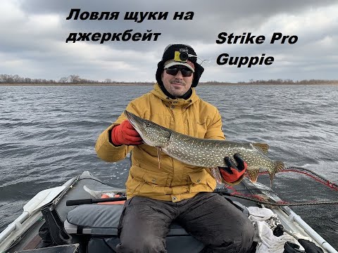 Видео: Ловля щуки на джеркбейт.Strike Pro Guppie  сделал эту   рыбалку!!!