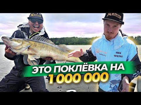 Видео: Такие поклёвки бывают раз в сезон! Угличский судачина.