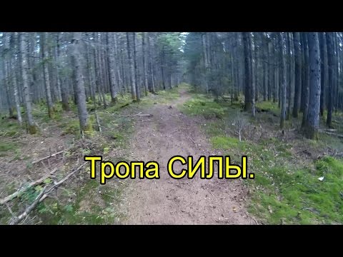 Видео: 2016. Тропа СИЛЫ (Путём Арсеньева). На Велосипеде. Советская Гавань.