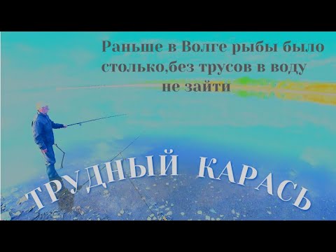 Видео: Трудная рыбалка