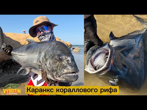 Видео: РЫБАЛКА В ХУРГАДЕ/ КАК ПОЙМАТЬ ОГРОМНОГО GT?