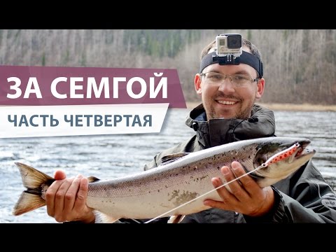 Видео: Ловля семги на КОЛЬСКОМ полуострове. День четвертый