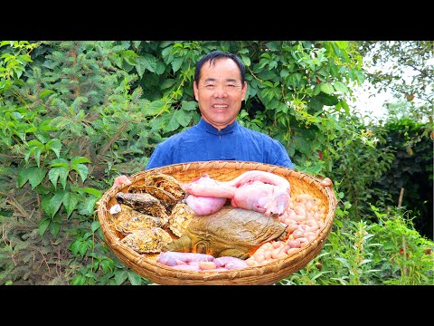 Видео: Золотая Черепаха, Почки Говядины, Полового Органа и Устрицы, Тушеные В Одном Кастрюле!