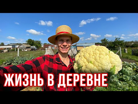 Видео: Один день лета - год кормит🍅☀️ Новости деревенские🏡Пополнения на Хоздворе Козы - главные хулиганы 🐐