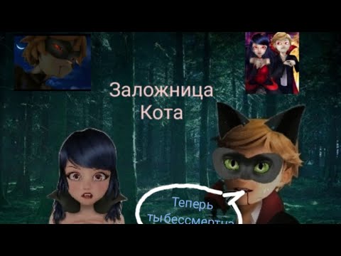 Видео: Переписка ~ Заложница Кота ~ 8 часть. По м/с Леди баг и Супер кот.