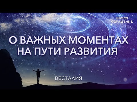 Видео: О важных моментах на пути развития #теория #Весталия #школаСорадение