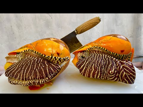 Видео: Золотые морские улитки, как приготовить самые вкусные в мире морские улитки // Вн Шеф