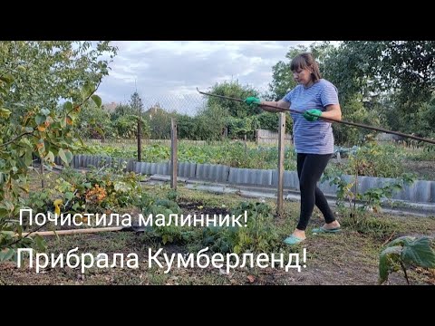 Видео: Розійшлася не на жарт.. прибрала весь садок!