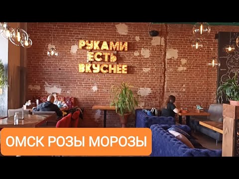 Видео: Омск/РОЗЫ МОРОЗЫ/Встреча с подругой/