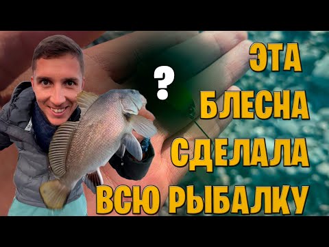 Видео: ЧУДО БЛЕСНА. ЛОВЛЯ БАРАБУЛИ. АНОНС КОНКУРСА И НОВЫЙ ТРОФЕЙ 🏆 #рыбаесть #fishing #рыбалкавкрыму