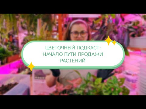 Видео: ЦВЕТОЧНЫЙ ПОДКАСТ: НАЧАЛО ПУТИ ПРОДАЖИ РАСТЕНИЙ