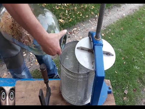 Видео: Изготовления сухого вина(Лидия)