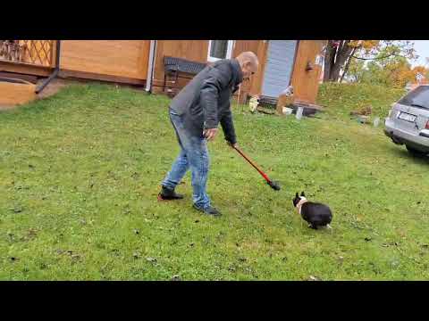 Видео: Игра 10.2025 год