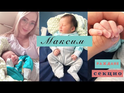 Видео: РАЖДАНЕ на Максим 💙 Секцио видео-дневник