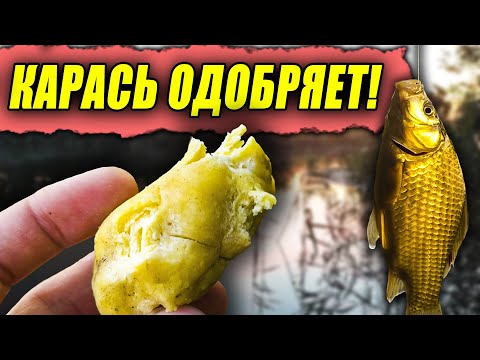 Видео: Рыбачу на ТЕСТО по РЕЦЕПТУ от ПОДПИСЧИКА! Это ТЕСТО ловит лучше, чем ОПАРЫШ?! Попал на ЖОР КАРАСЯ!