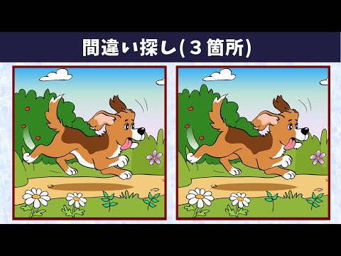 Видео: Найдите 3 отличия | Иллюстрация Версия #404