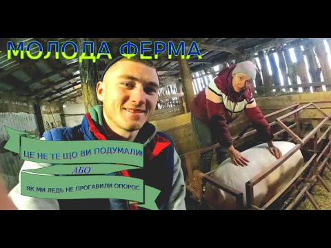 Видео: 😨💥"ЦЕ НЕ ТЕ ЩО ВИ ПОДУМАЛИ!" або "ЯК МИ ЛЕДЬ НЕ ПРОГАВИЛИ ОПОРОС"😱🐖💥