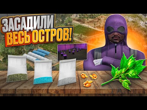 Видео: ЕСЛИ ВЫРАЩИВАТЬ GREEN ТО ТОЛЬКО ТАК! | GTA 5 | MAJESTIC RP