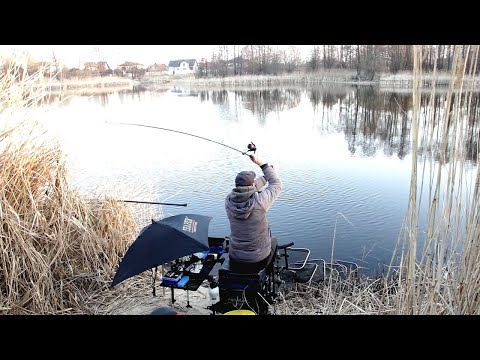 Видео: РЫБАЛКА 2022! ФИДЕР весной на РЕКЕ! ПРИКОРМКА для ловли ЛЕЩА!