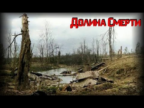 Видео: МЯСНОЙ БОР / ВОЛХОВСКИЙ ФРОНТ 1-9 часть