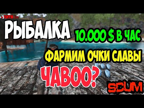 Видео: ГАЙД ПО SCUM | РЫБАЛКА | ЗАРАБОТОК 10.000 В ЧАС | ФАРМИМ ОЧКИ СЛАВЫ | Toffiklive