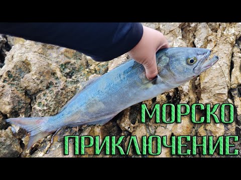 Видео: Зрелищни атаки: Лефери и Баракуди от брега!