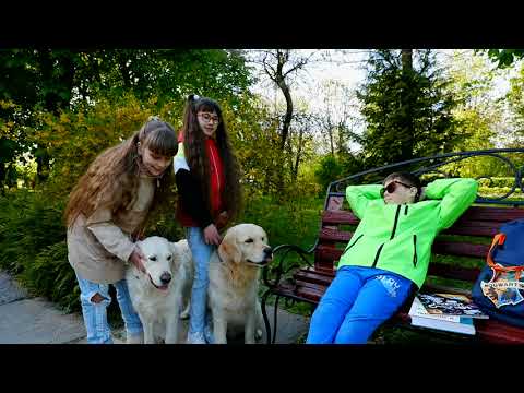 Видео: Братья по разуму