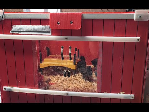 Видео: RentACoop Brooder Box Kit обзор на русском
