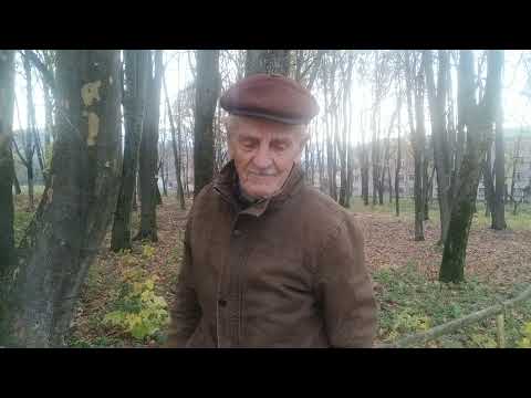 Видео: Лесник Роальд Каупуш из Северной Осетии и его секрет долгой и увлекательной жизни.