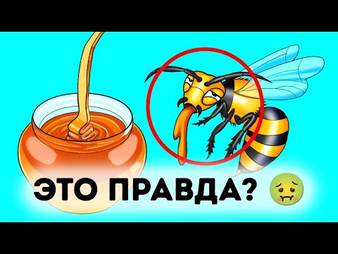 Видео: Почему важна высота кровати + 150 редких фактов