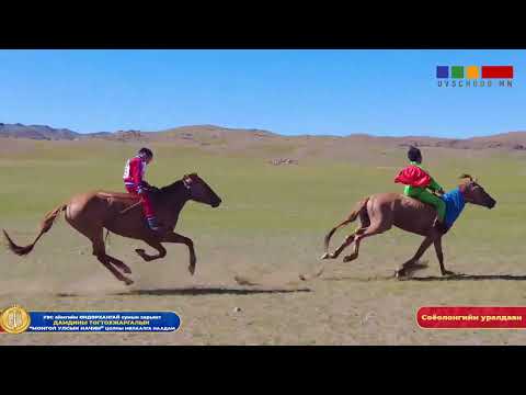 Видео: Ханхөхийн Соёолонгийн уралдаан / Улсын начин Д.Тогтохжаргалын мялаалга наадам / Өндөрхангай 23.08.18