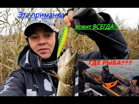 Видео: Эта приманка ловит всегда!!! Где большая рыба???