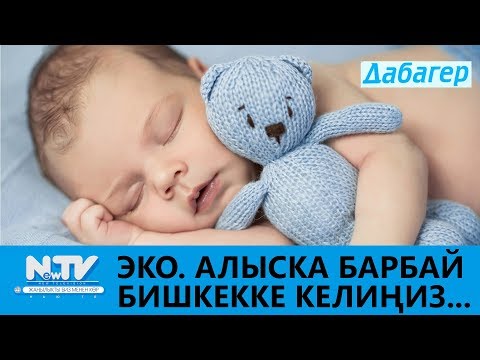 Видео: ЭКО. АЛЫСКА БАРБАЙ БИШКЕККЕ КЕЛИҢИЗ...\\ДАБАГЕР