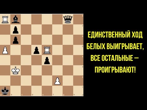 Видео: Безнадежная позиция? А Белые все-таки победили!