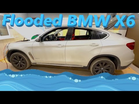 Видео: BMW X6 2016 - Топляк зі штатів…