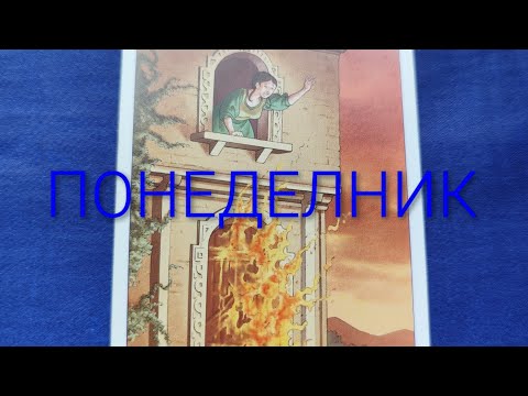 Видео: Понеделник , какво носи началото на седмицата 