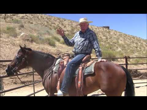 Видео: Обгон с ослабленным поводом