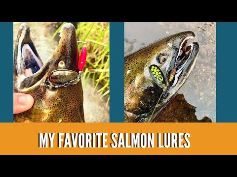 Видео: Мои любимые приманки для лосося / Лучшие приманки для ловли лосося на реке / Как поймать речного ...