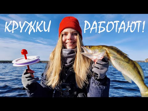 Видео: ЭТА СНАСТЬ РАБОТАЕТ! Интересная рыбалка на хищника, закинул и жди!