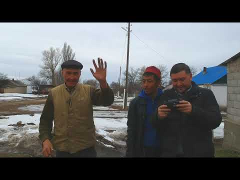 Видео: Улкен сулутор
