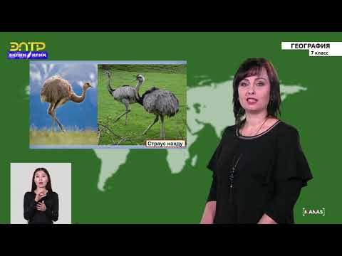 Видео: 7-класс | География | Природные зоны Южной Америки. Высотная поясность Анд