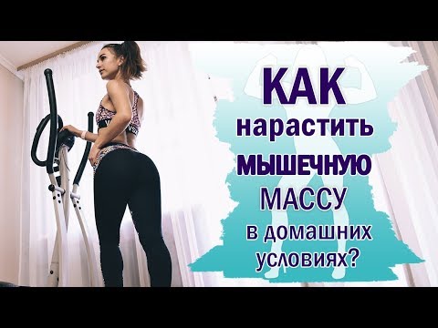 Видео: Как НАРАСТИТЬ МЫШЕЧНУЮ МАССУ девушке | Тренировка для НАБОРА массы ДЕВУШКЕ в домашних условиях