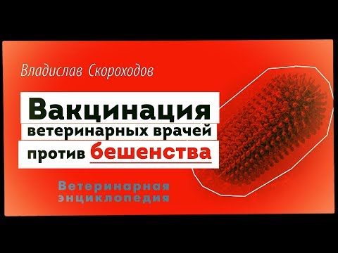 Видео: Вакцинация ветеринарных врачей против бешенства
