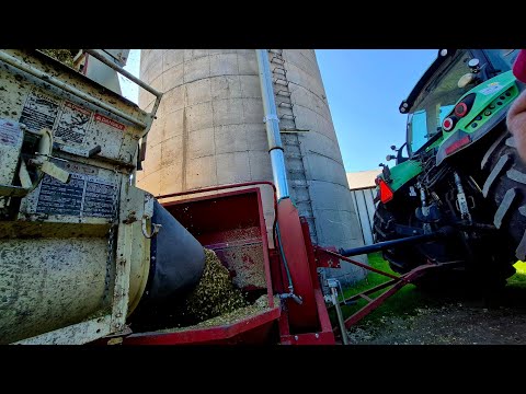 Видео: Тысяча тонн кукурузного силоса для наших молочных коров... Хранится на высоте 80 футов!!!