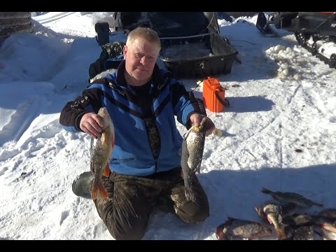 Видео: ОТДЫХ В ТАЁЖНОЙ ИЗБЕ С БОБРОМ И ПОЛЕНОМ  ХОРОШИЙ КЛЁВ С КЛЁВОЙ КОМПАНИЕЙ  НАСТОЯЩИЙ ОТДЫХ