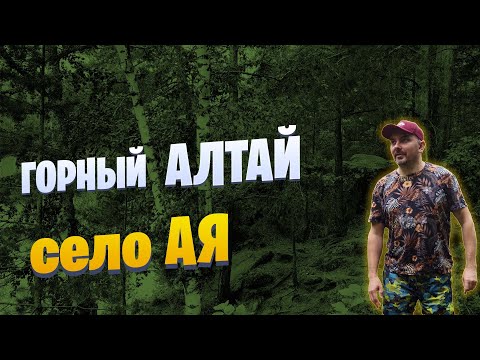 Видео: Село АЯ - лучшее место для адаптации в первые дни на Алтае