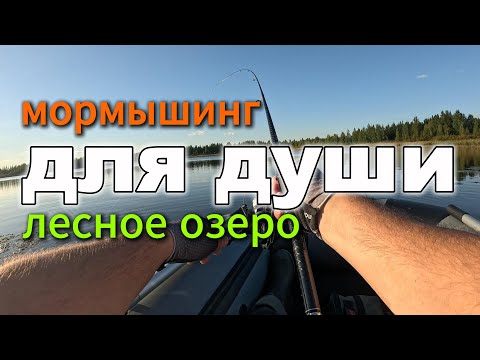 Видео: ОТДЫХ ДЛЯ Рыбацкой ДУШИ. Лесное Озеро и НЕТ Никого! #мормышинг #рыбалка #озеро #окуньнамормышку